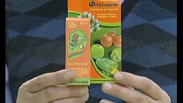 Удачный сезон смотреть онлайн