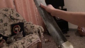 Клей 88 на пластике.