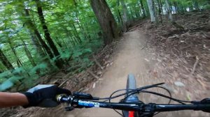 ДАУНХИЛЛ ДЛЯ НОВИЧКА В КРАСНОЙ ПОЛЯНЕ - 4.7 КМ вниз