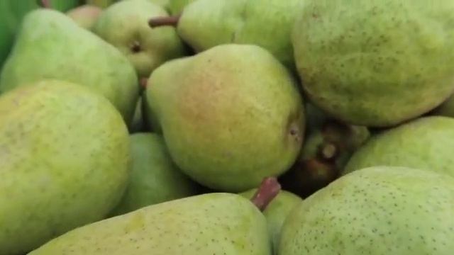 MAČVAN DOO смотреть онлайн