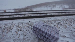 Фильм «Нюрка» (2011).  композитор: Олег Стариков (несколько фрагментов из фильма)