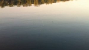 РЫБАЛКА.ловля СОМА.река ОКА.