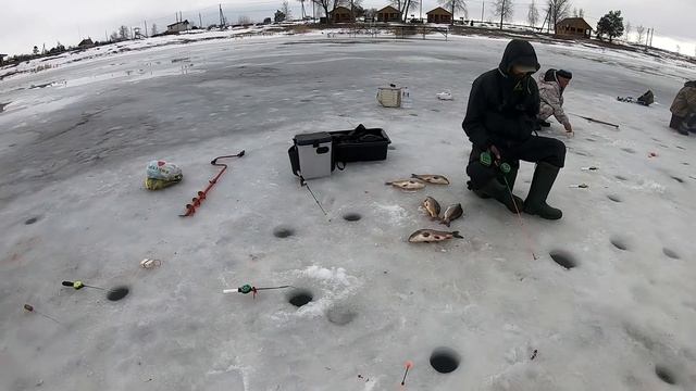 БЕШЕННЫЙ КЛЕВ КАРПА ЗИМОЙ! ЗИМНЯЯ РЫБАЛКА НА КАРПА, ловля карпа на мормышку со льда смотреть онлайн