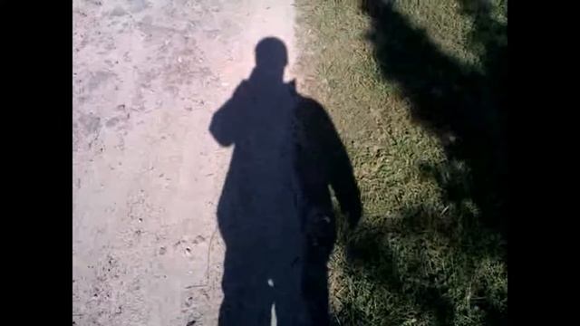 альфред тень и сон смотреть онлайн