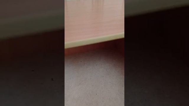 камод смотреть онлайн