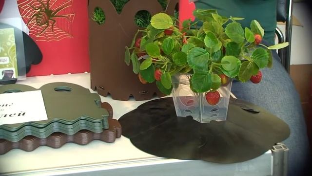 Фазенда - 2012 / Весна №54