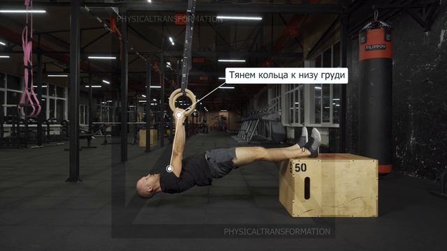 Горизонтальные подтягивания на кольцах (отрицательные) (Rings Horizontal Pull Ups (negative incline смотреть онлайн