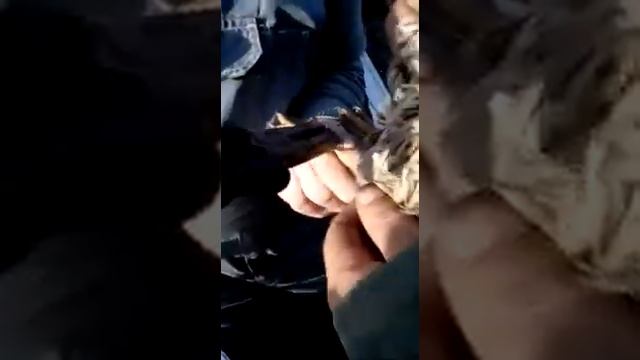 Комфортная нагавка для подсадной утки. смотреть онлайн
