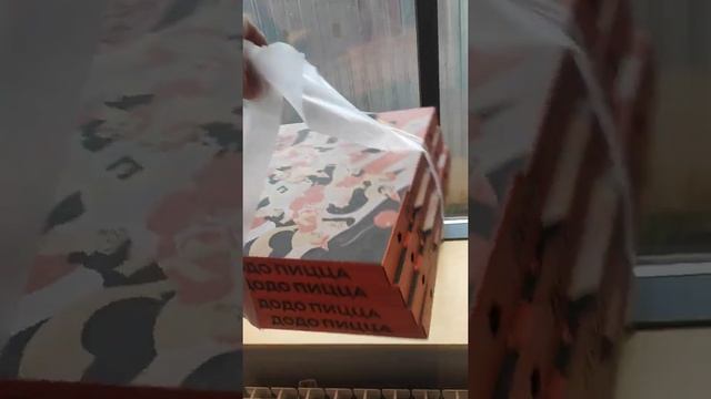 4 коробки Додо-пиццы 35 см (короб 37х37) в переноске PizzaHolder XL (20х65 см) смотреть онлайн