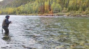 Таёжная Лагуна. Ловим хариуса, ленка.
