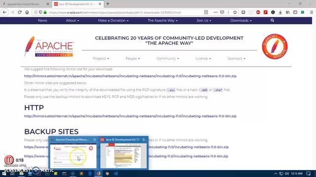 How to Install NetBeans 11 IDE & Java JDK on Windows 10/8/7 смотреть онлайн