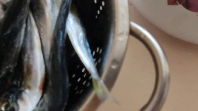 Секреты Творческой Гениальности