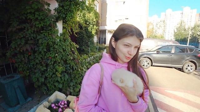 Я СТАНУ ПАПОЙ? САМЫЙ МИЛЫЙ ВЛОГ смотреть онлайн