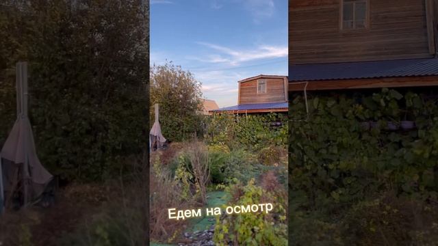 Воскресенье #1.11 Отдыхаю смотреть онлайн