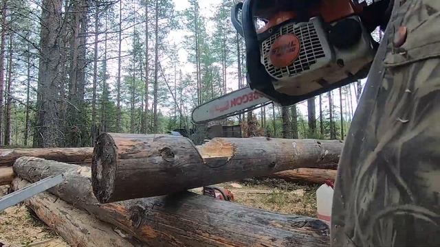 Баня в лесу из валежника.Сруб бани в одиночку #сруб #баня смотреть онлайн