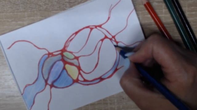 ПРАВИЛА ВНЕСЕНИЯ ЦВЕТА В НЕЙРОГРАФИЧЕСКИЙ РИСУНОК смотреть онлайн