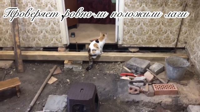 Как поменять пол в частном доме своими руками/День шестой. смотреть онлайн