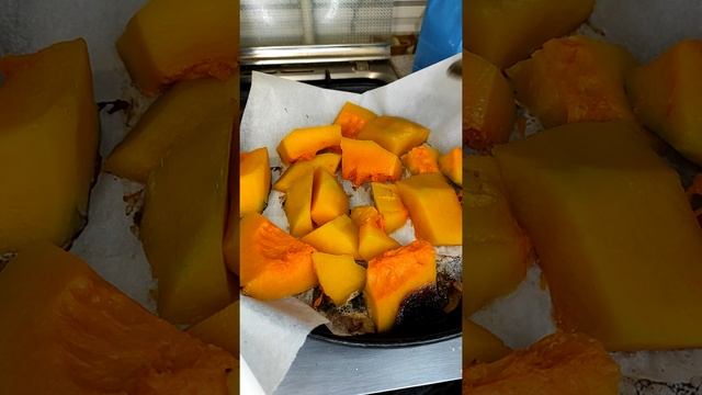 Животные в Зоопарках