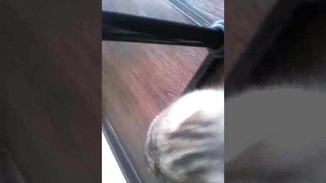 Как сделать попрыгун своими руками смотреть онлайн