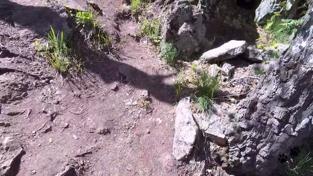 Водопад Гадельша смотреть онлайн