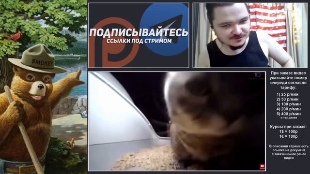 Лучший стрим Маргинала CHIPI CHIPI CHAPA CHAPA смотреть онлайн