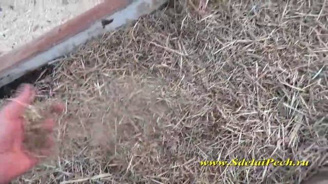 Посадка и мульчирование смотреть онлайн