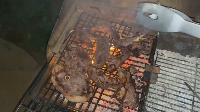 Скрытые миры дикой природы