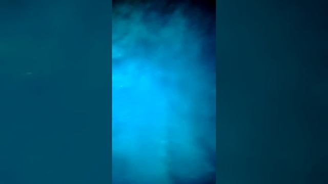 Аксессуары для телефона смотреть онлайн
