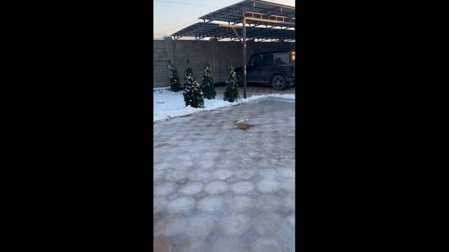 Как я залил каток прямо во дворе на брусчатку. смотреть онлайн