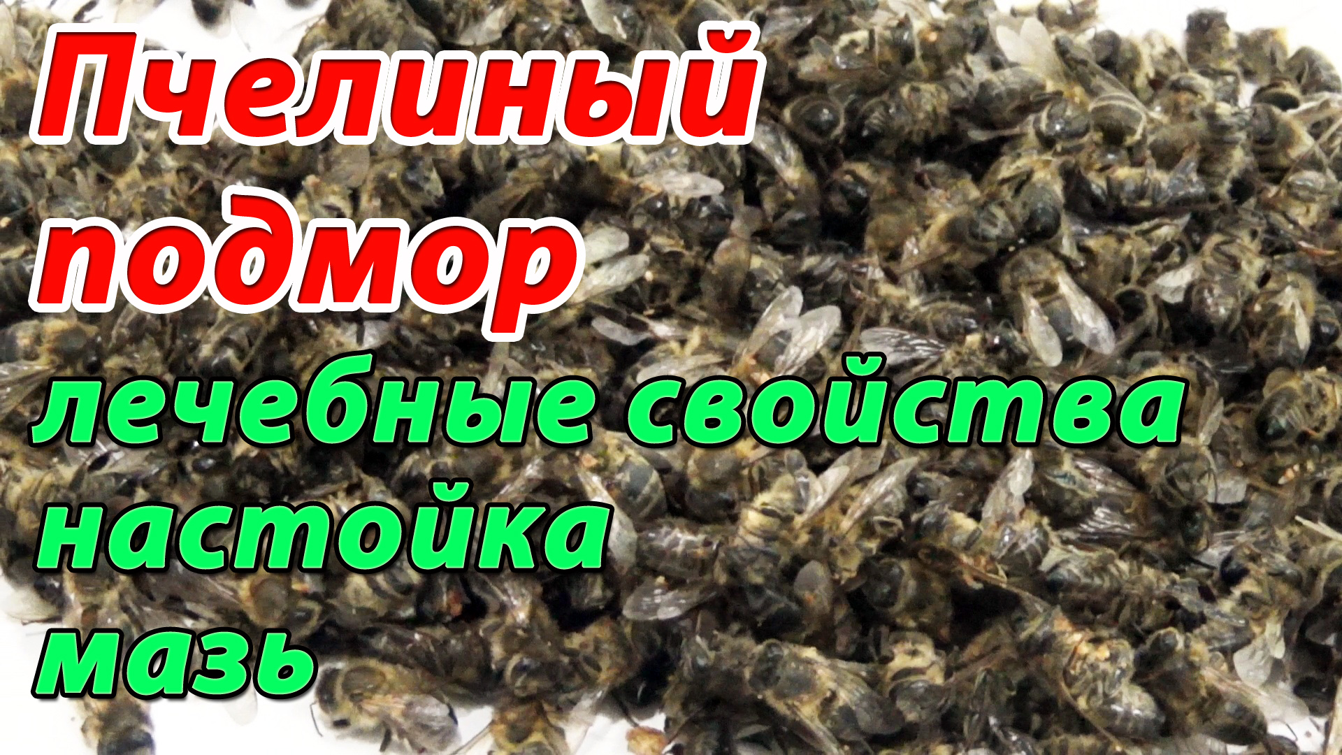 Пчелиный подмор. Настойка подмора. Мазь из подмора. Применение пчелиного подмора в народной медицине смотреть онлайн