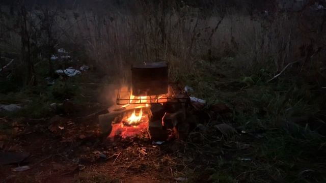 Ночной костер, костер в лесу, костер на природе.