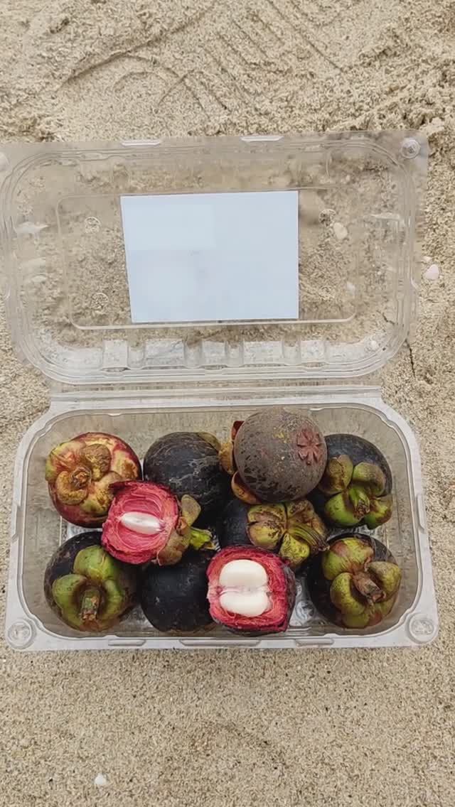 Сколько стоит Мангустин на Пхукете.
Таиланд 2024 за 50 тысяч рублей с перелетом. Пхукет.Тутси диет смотреть онлайн