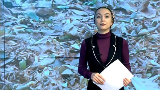 СЖИГАНИЕ СУХОСТОЯ И ПАЛА ТЕПЕРЬ ЗАПРЕЩЕНО ЗАКОНОМ смотреть онлайн