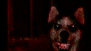 Страшные картинки +Плач кита(перед сном не смотреть);3