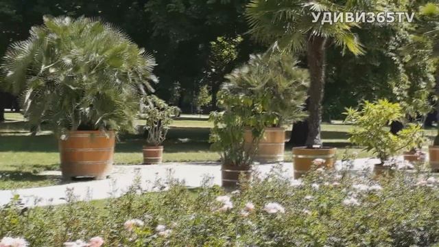 ДРЕЗДЕН. ДВОРЕЦ ПИЛЬНИЦ. Загородная резиденция саксонских монархов смотреть онлайн