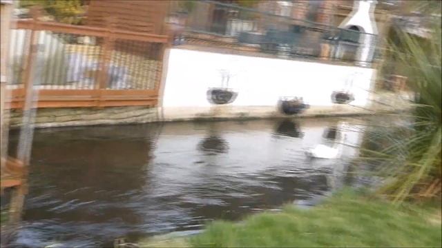 coracle 18 смотреть онлайн