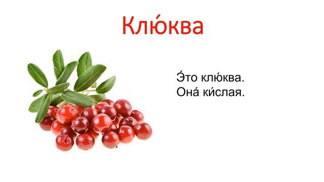 Слова на русском языке на тему: Ягоды / Words in Russian on the topic: Berries / орос хэл сурах смотреть онлайн