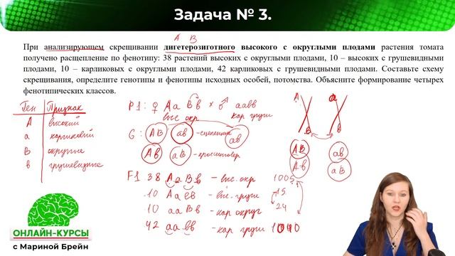 ЗАДАЧИ ПО ГЕНЕТИКЕ С НУЛЯ ЕГЭ смотреть онлайн