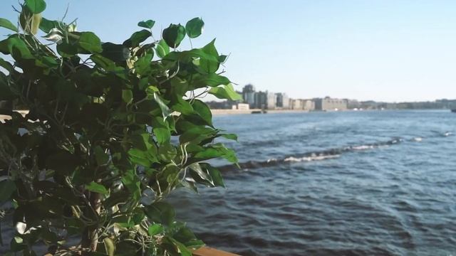 Старт стажировки в VK: 2022 смотреть онлайн