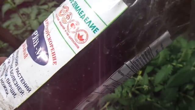 КОГДА И КАК ПРИМЕНЯТЬ ФИТОСПОРИН? Ольга Чернова. смотреть онлайн