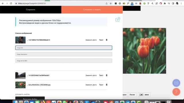 Как добавить альт текст для изображения в Тильда | Как добавить SEO ALT описание смотреть онлайн