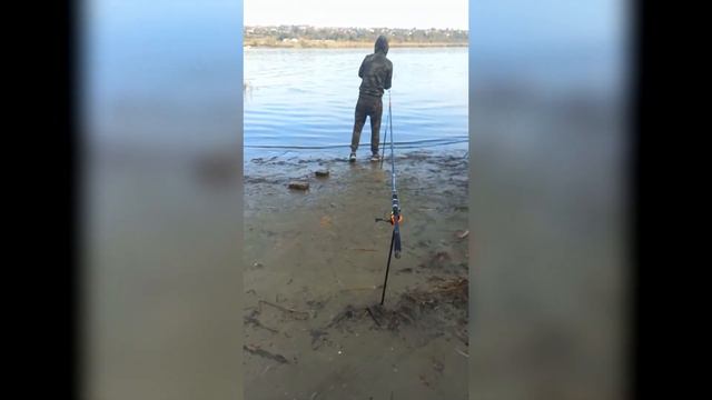 ЭТО ЧТО ЗА РЫБАК ПОКЕМОН??? смотреть онлайн