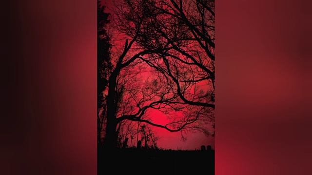 ОГРАЖДАЕМЫЙ СИЛОЮ МОЕГО ХРИСТА, Я ИЗБЕЖАЛ ВАШИХ КОЗНЕЙ..св. Макарий смотреть онлайн