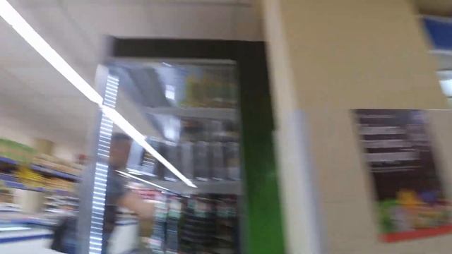 Спаниеля Сёму взяли в супермаркет с собой.