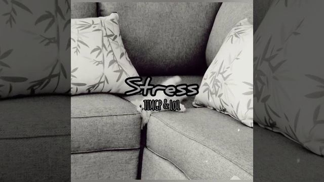 TIMGP & LO1 | STRESS MUSIC VERSION | Mc Cvncer| смотреть онлайн
