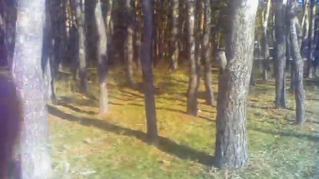 Волшебные чипсы смотреть онлайн