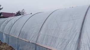 Правельный и надёжный балаган для клубники от А до Я.