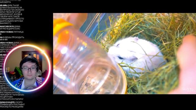 СКРЫННИК СМОТРИТ: Я ПОНЯЛ КАК ВОРУЮТ ДЕНЬГИ смотреть онлайн