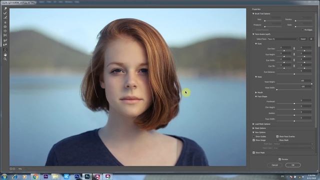 Adobe Photoshop 2020 смотреть онлайн