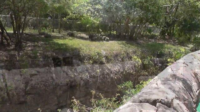 Мексика 2014. Часть 19. Парк Шкарет. №2. Mexico in 2014. Part 19. Xcaret Park. №2 смотреть онлайн